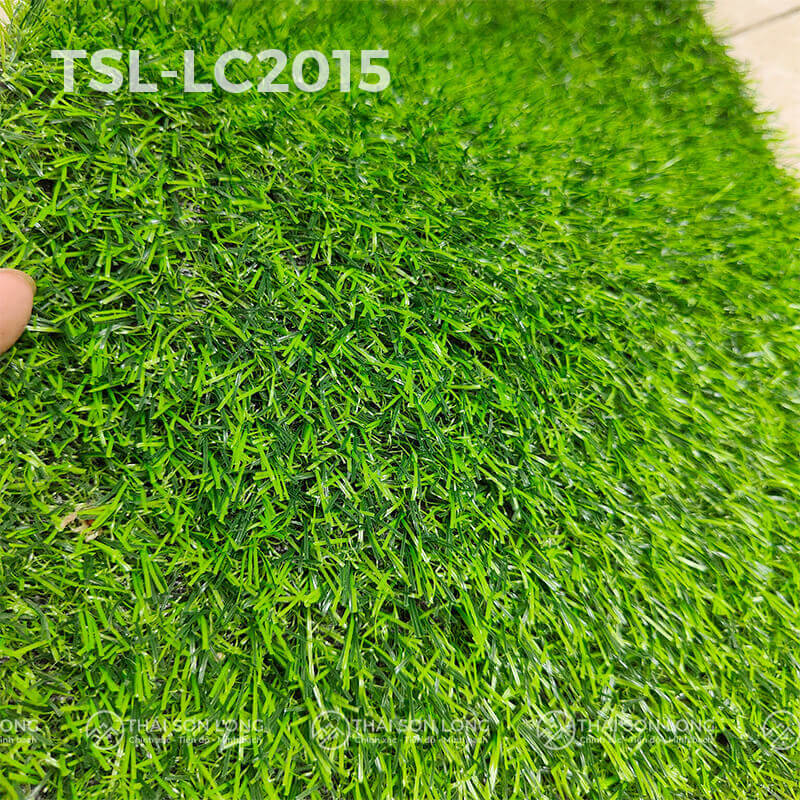 cỏ nhân tạo sân vườn TSL-LC2015 01